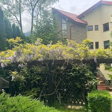 Wine Cellar Villa With Beautiful Garden In Sinaia - Busteni Poiana Tapului Extérieur photo