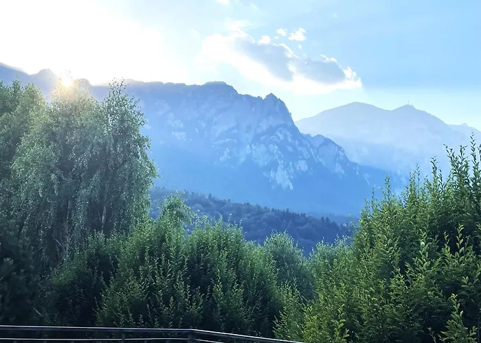 Wine Cellar Villa With Beautiful Garden In Sinaia - Busteni