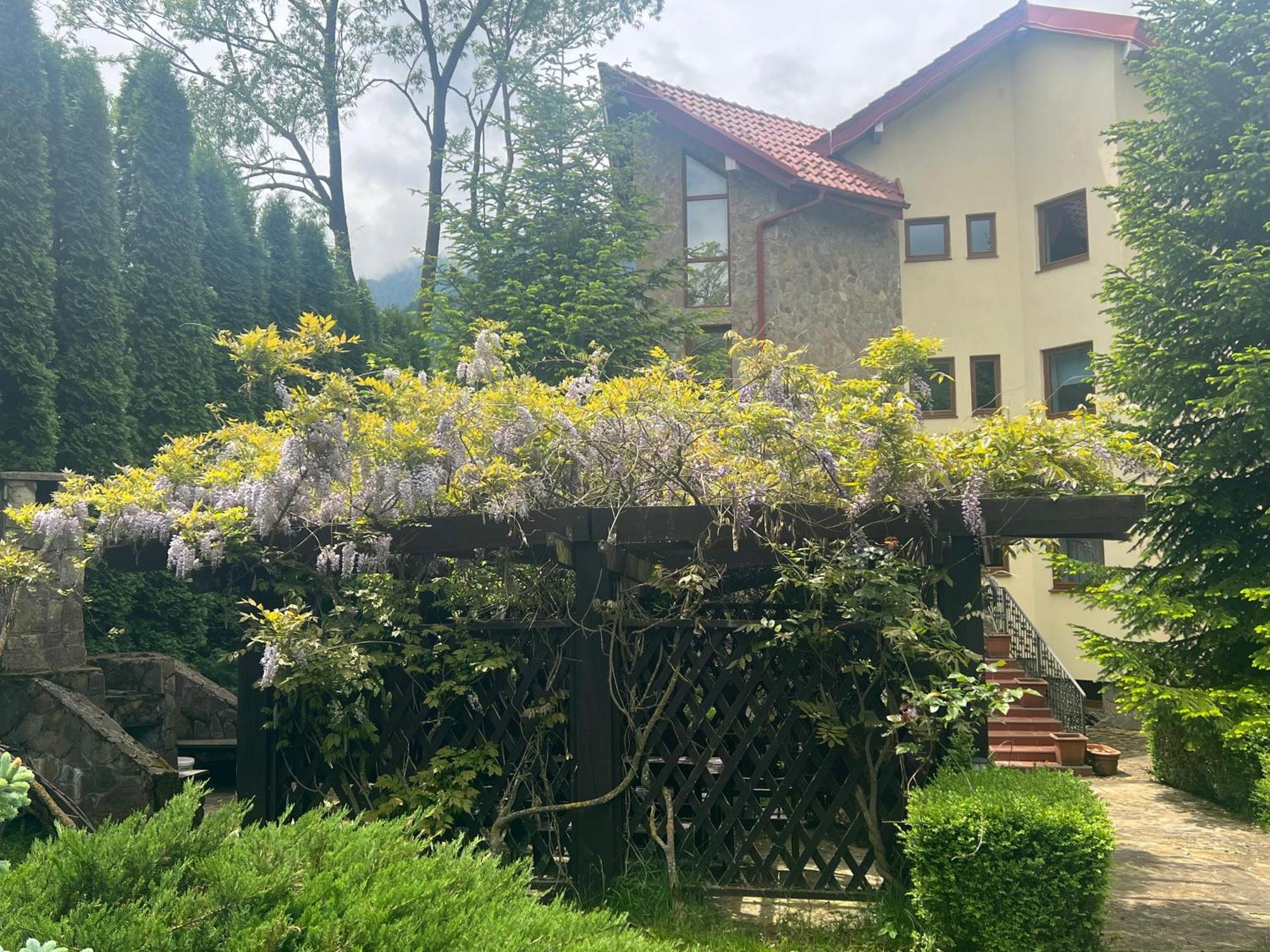 Wine Cellar With Beautiful Garden In Sinaia - Busteni Poiana Tapului