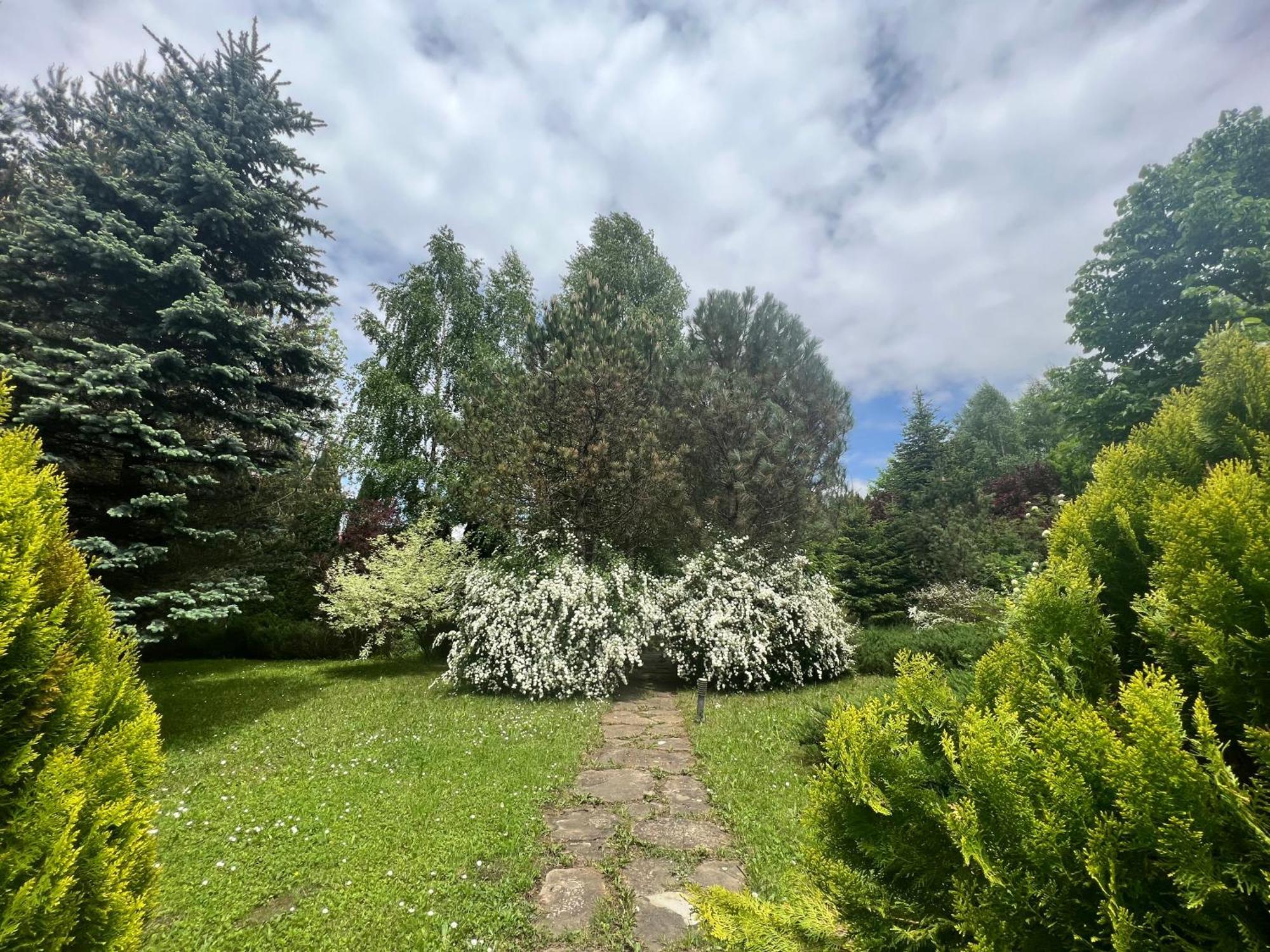 Wine Cellar With Beautiful Garden In Sinaia - Busteni *