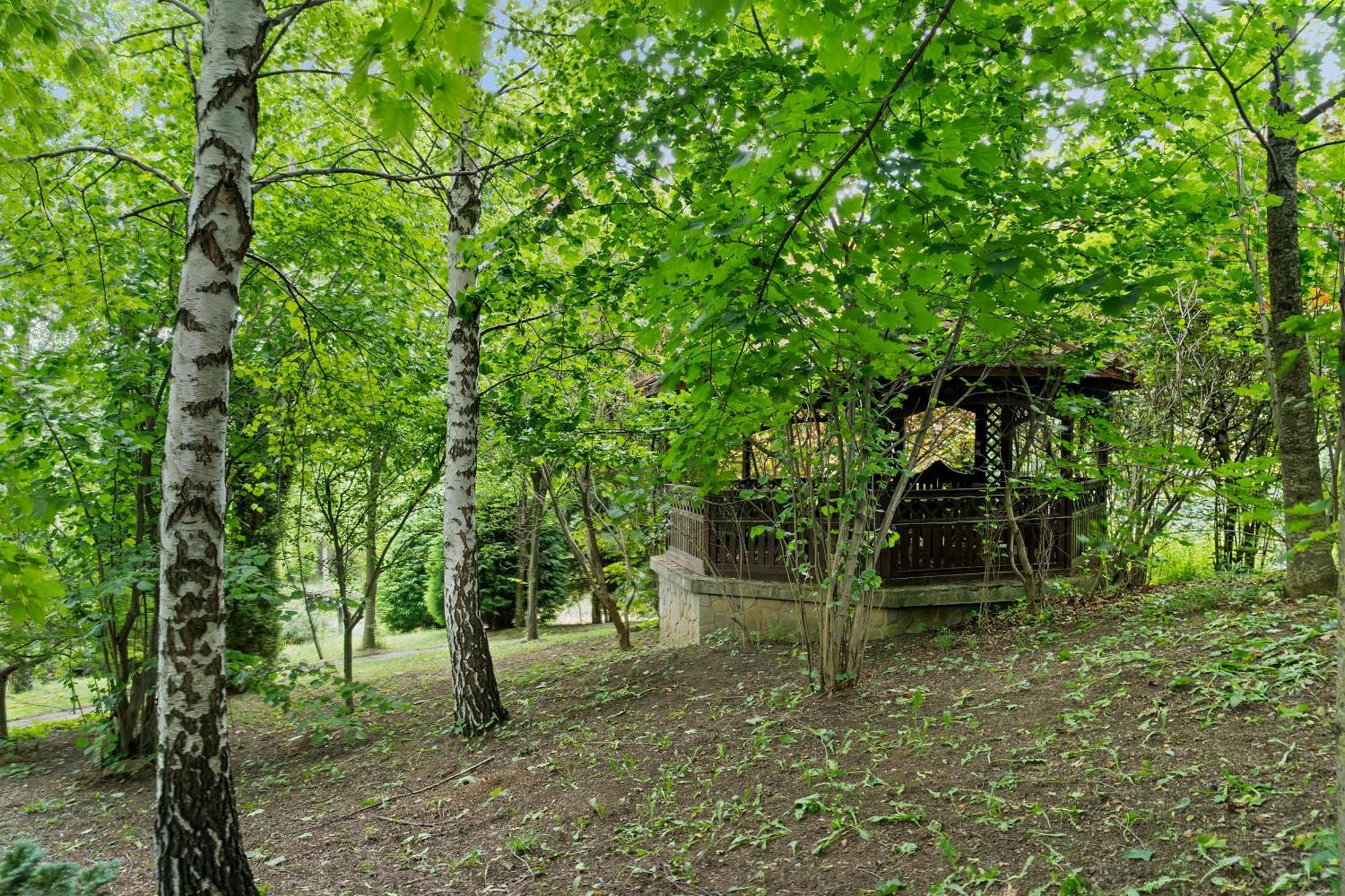 Wine Cellar With Beautiful Garden In Sinaia - Busteni Villa *