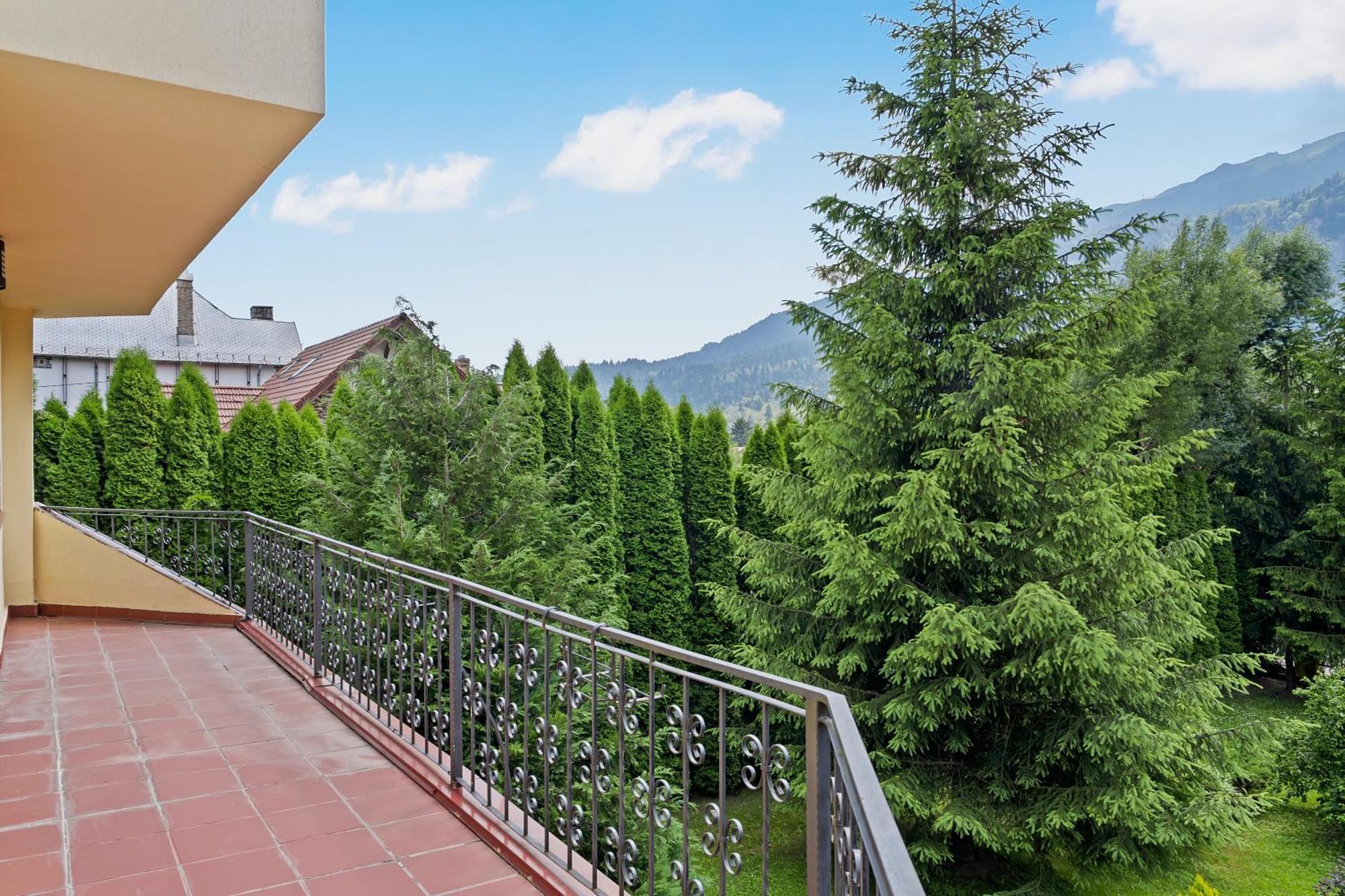 Villa Wine Cellar With Beautiful Garden In Sinaia - Busteni *
