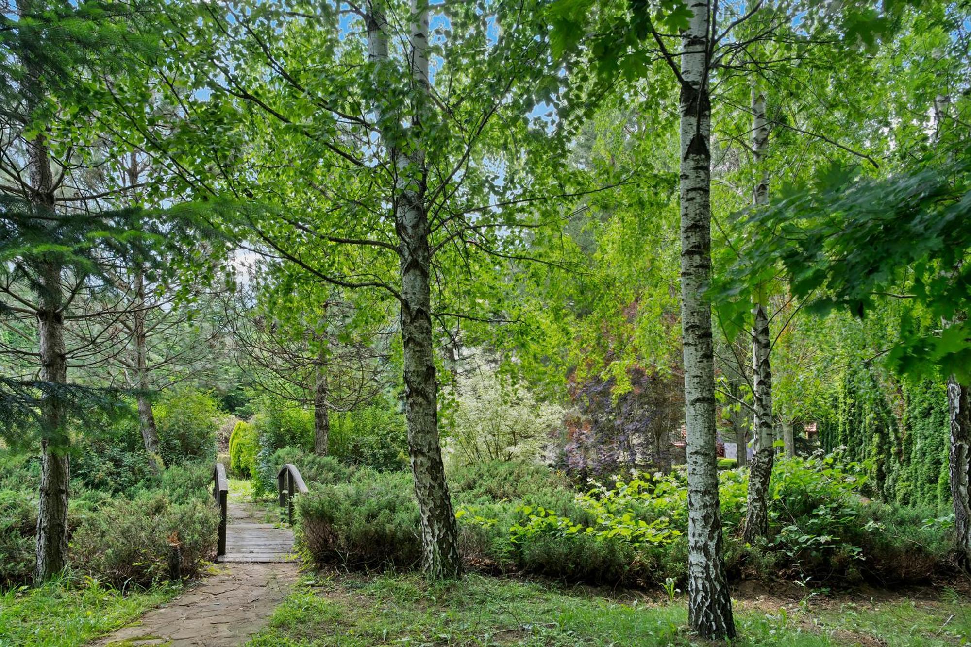Wine Cellar With Beautiful Garden In Sinaia - Busteni 別墅