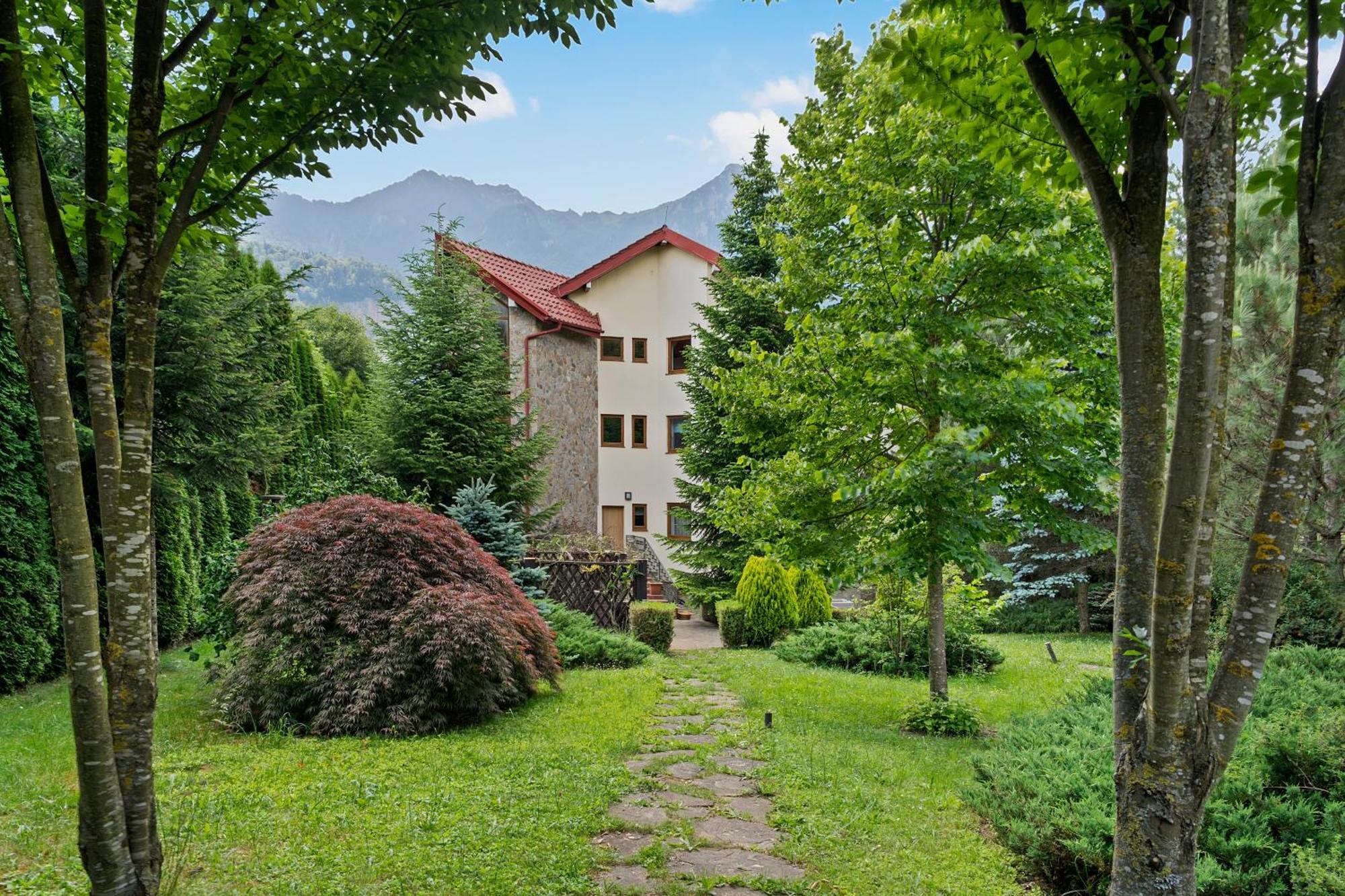 Villa Wine Cellar With Beautiful Garden In Sinaia - Busteni Poiana Tapului