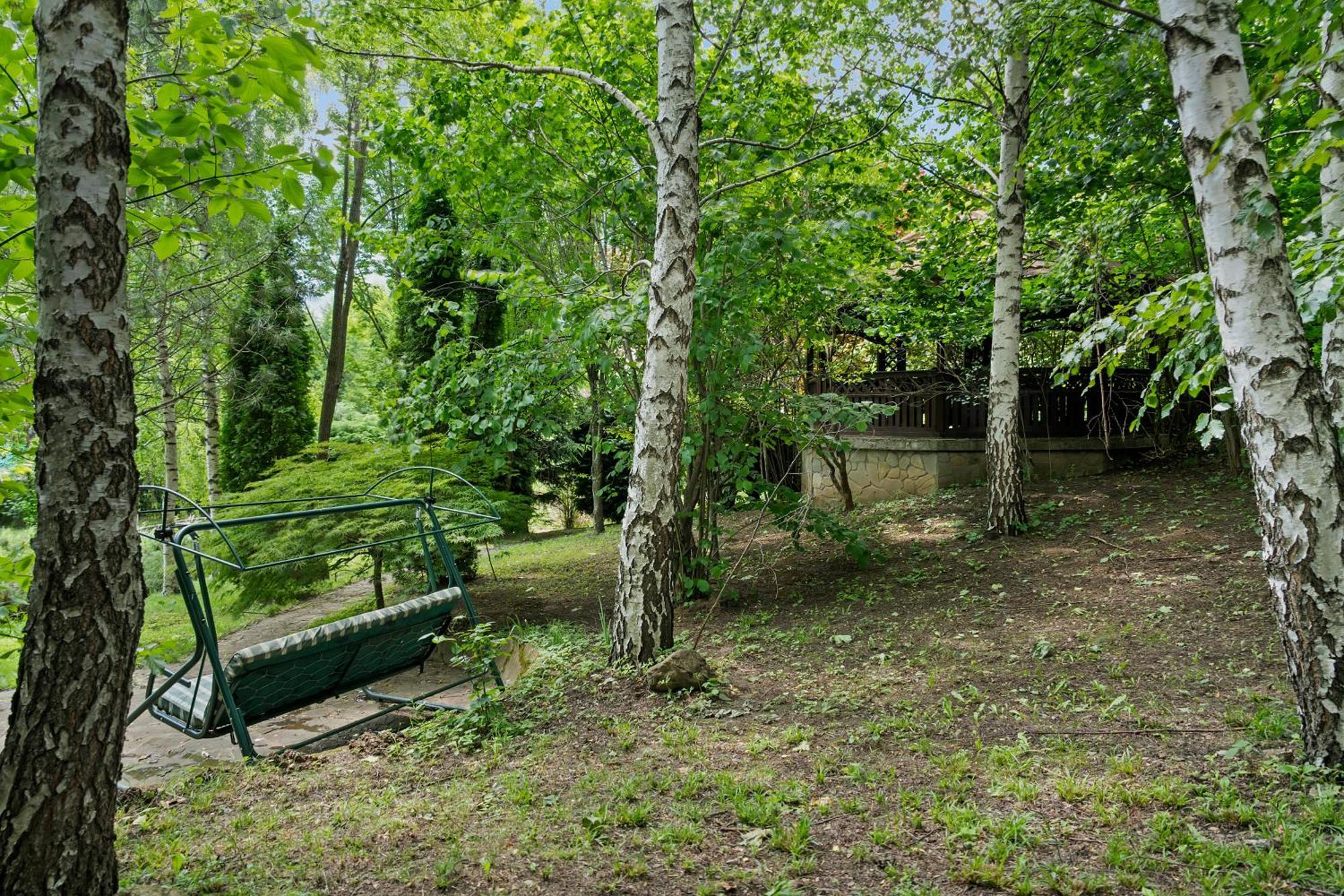 Villa Wine Cellar With Beautiful Garden In Sinaia - Busteni