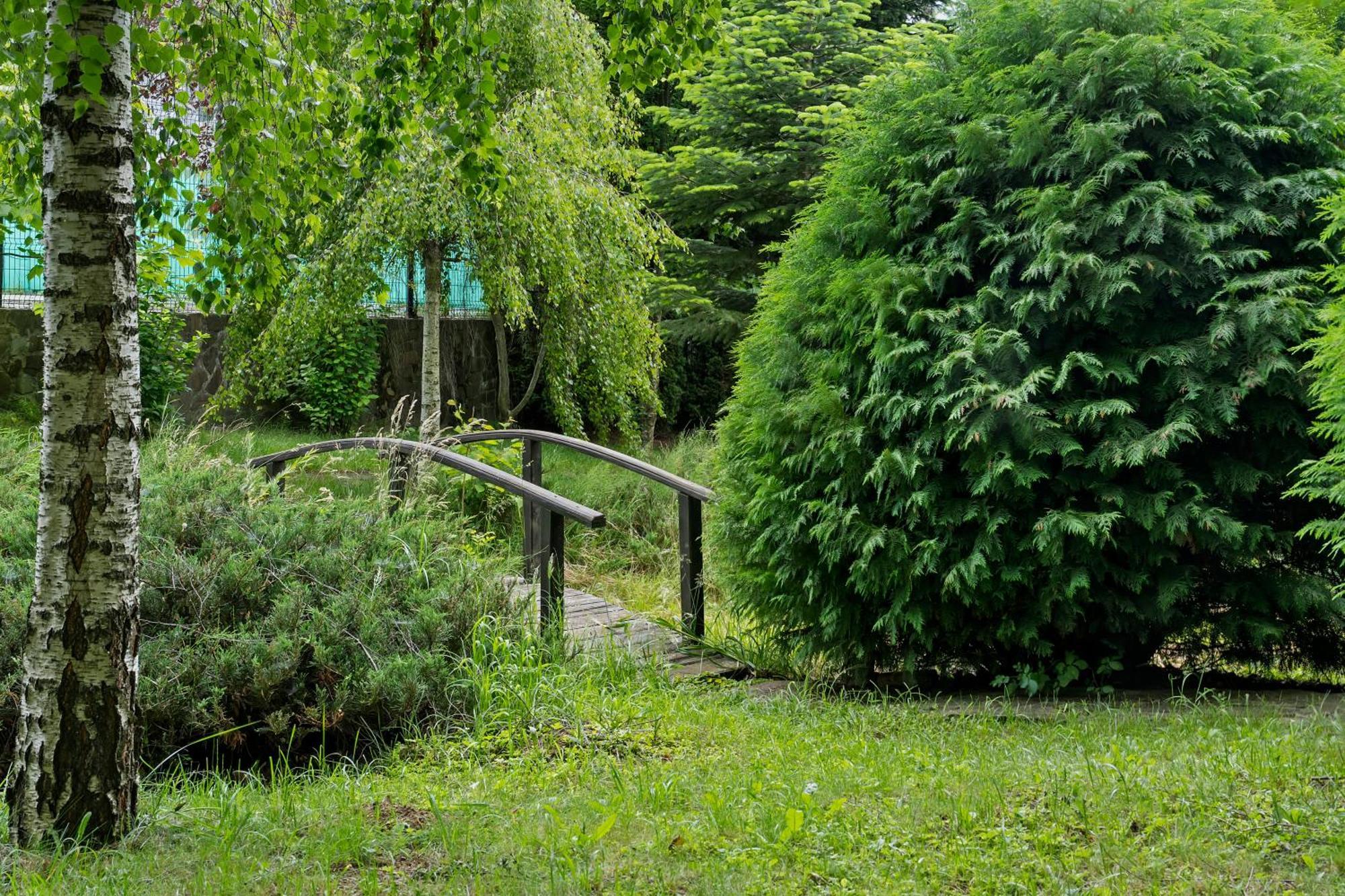 Wine Cellar With Beautiful Garden In Sinaia - Busteni 別墅 Poiana Tapului