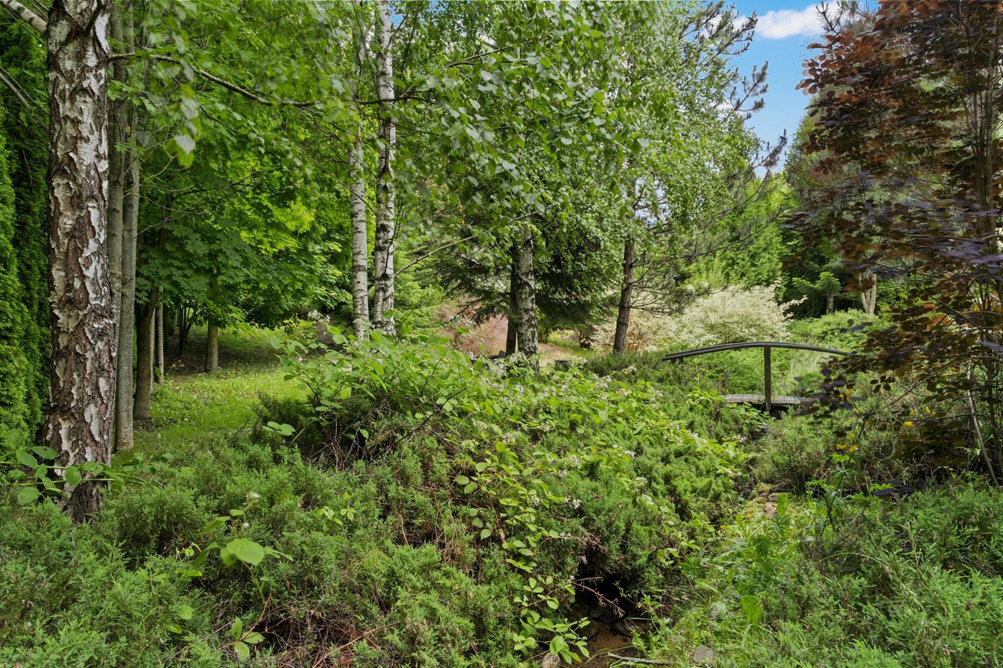 Wine Cellar With Beautiful Garden In Sinaia - Busteni Villa *